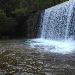 大イワナ登場！